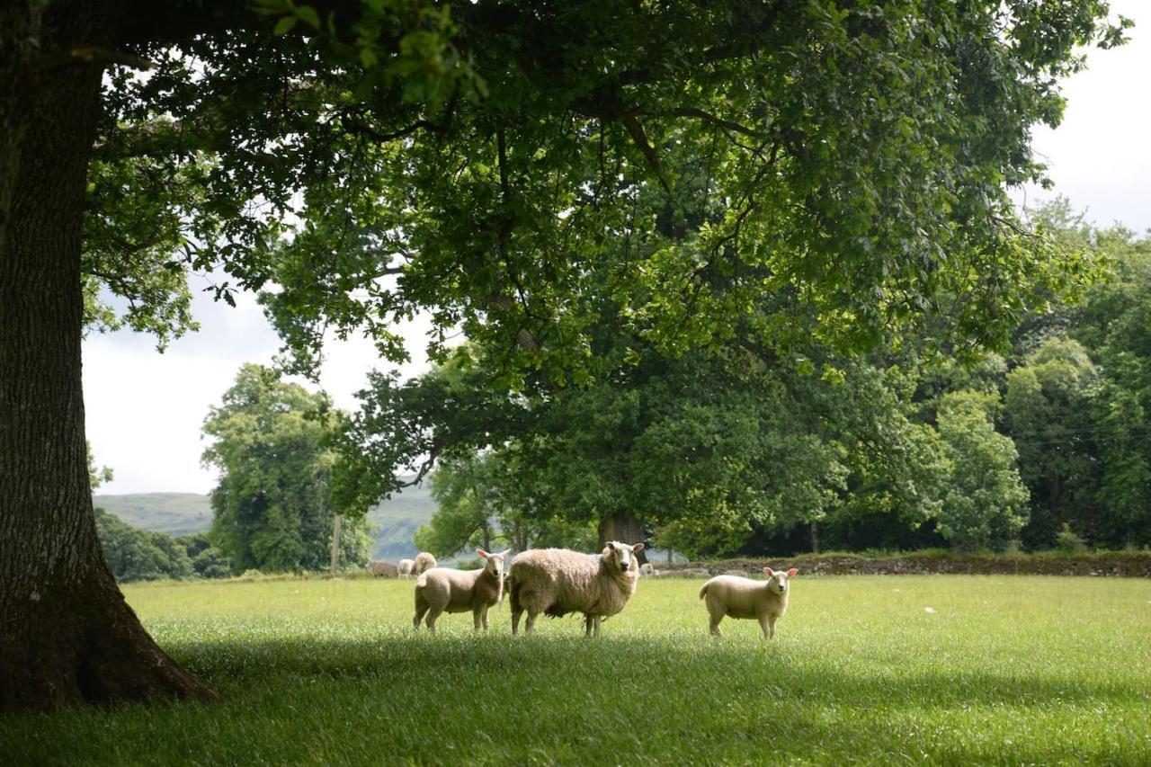 Old Leckie Farmstay Stirling Eksteriør billede